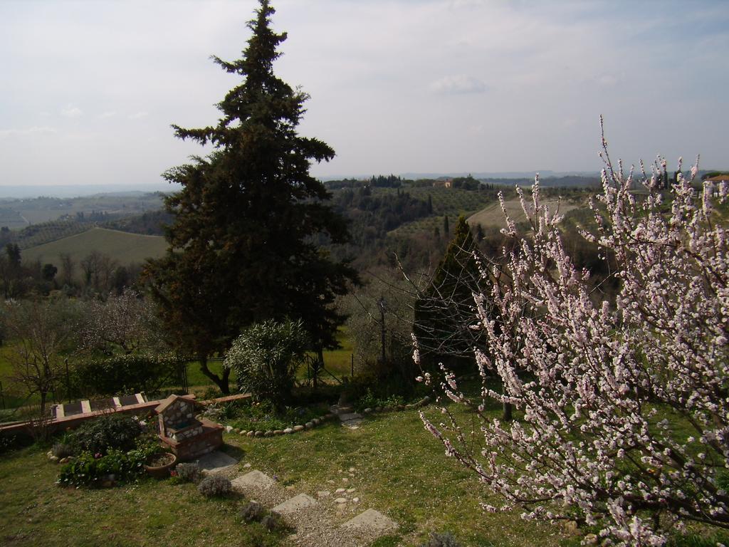 Nido Di Rondine Apartment Montespertoli Exterior photo